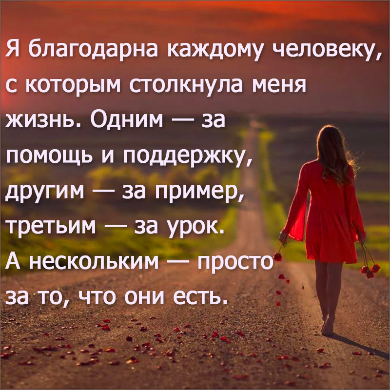 За ними примеры другие