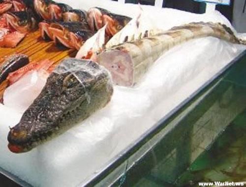 Мясо крокодила фото