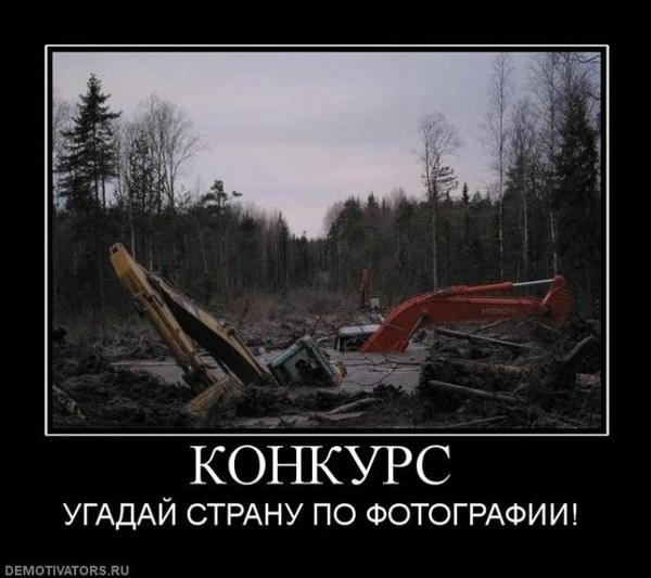 10 удивительных фактов про животных рекомендации 10 удивительных фактов про животных рекомендации