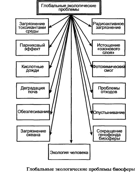 Обществознание_в_схемах_и_таблицах_схема_36