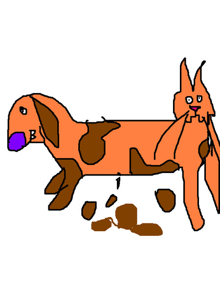 Как котопес ходит в туалет. Мемы про картавых людей. Шутки про картавых людей. Вопросы на мультики ответы на которые. Как котопес ходит в туалет.