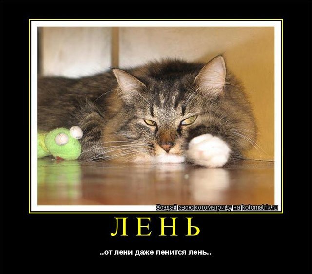 Днем, я сегодня ленюсь картинки