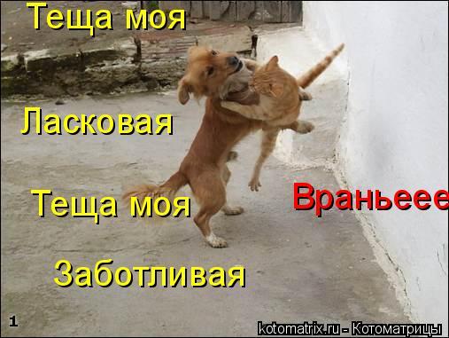 ТЁЩА МОЯ ЛАСКОВАЯ МОЛОДАЯ ОЗОРНАЯ ПОВОРОТЛИВАЯ СКАЧАТЬ БЕСПЛАТНО ТЁЩА МОЯ ЛАСКОВАЯ МОЛОДАЯ ОЗОРНАЯ ПОВОРОТЛИВАЯ СКАЧАТЬ БЕСПЛАТНО