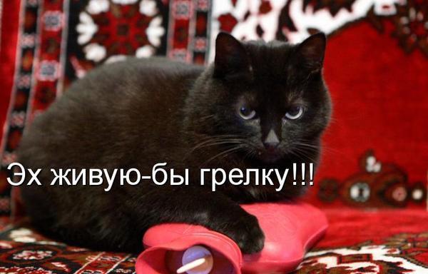 Картинки приколы грелка во весь рост