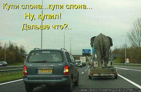 отмазка от купи слона серия термобелья изготовлена