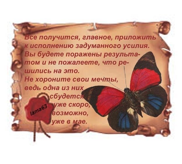 Желаю чтобы все задуманное сбылось. Пусть все задуманное сбудется. Корзина счастья для тебя. Пусть всё задуманное. Смешные цитаты про исполнение желаний.