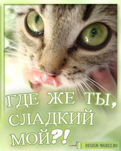 Картинки с надписью где же ты любимый мой