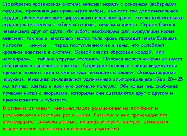 Ответы Mail.ru: Расскажите про Мексину?