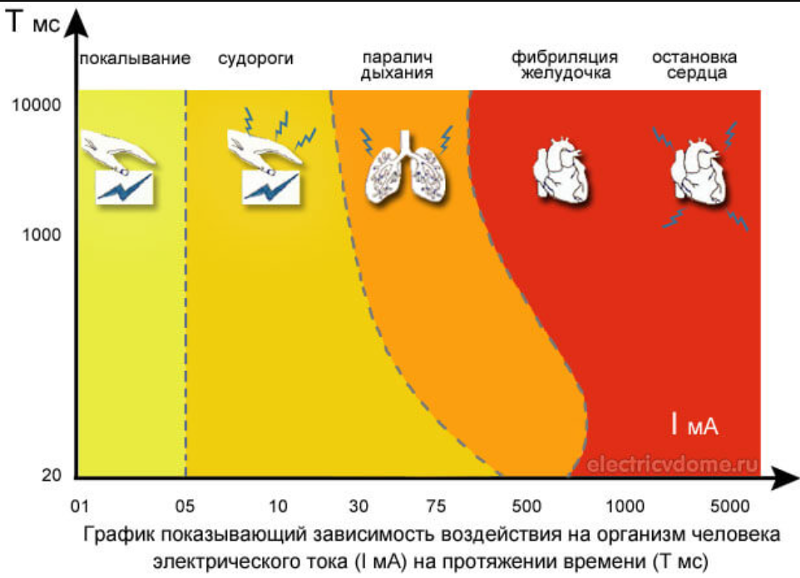 Влияния электрического тока на растения. Действие электрического тока на человека. Параметры воздействия электрического тока на человека. Биологическое поражение током. Воздействие электрического тока на организм человека.