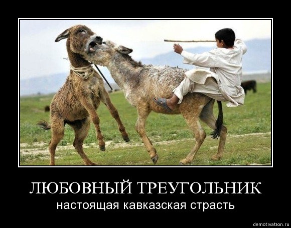 Любовный треугольник картинки прикольные, как успехи