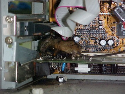 Ответы Mail: Компьютер шумит как починить?