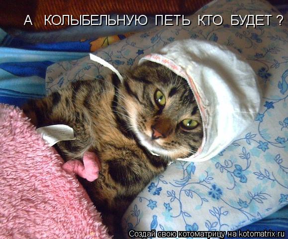 Спи давай уже картинки прикольные, дикими кошками надписями