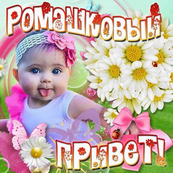 приветули приветули картинки шкаф-купе белого цвета