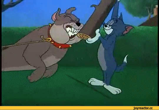 9511525_5a2f78ad32cc2f72829015a75259d30f_800.gif