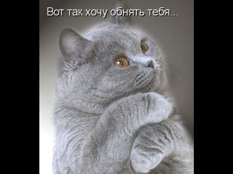 Днем, открытки вот так тебя люблю для мужчины