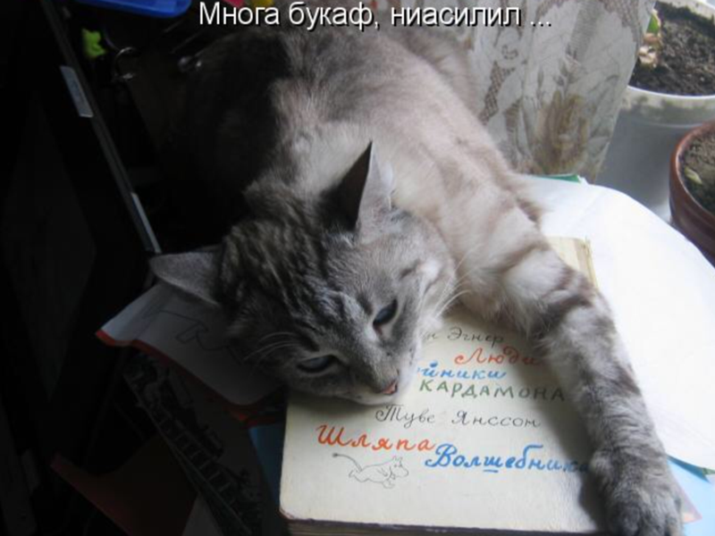 Чувство стыда мем. Вилли вонка расскажи мне. Не стыдно мем. Спрятал мем. Нечего стыдиться.