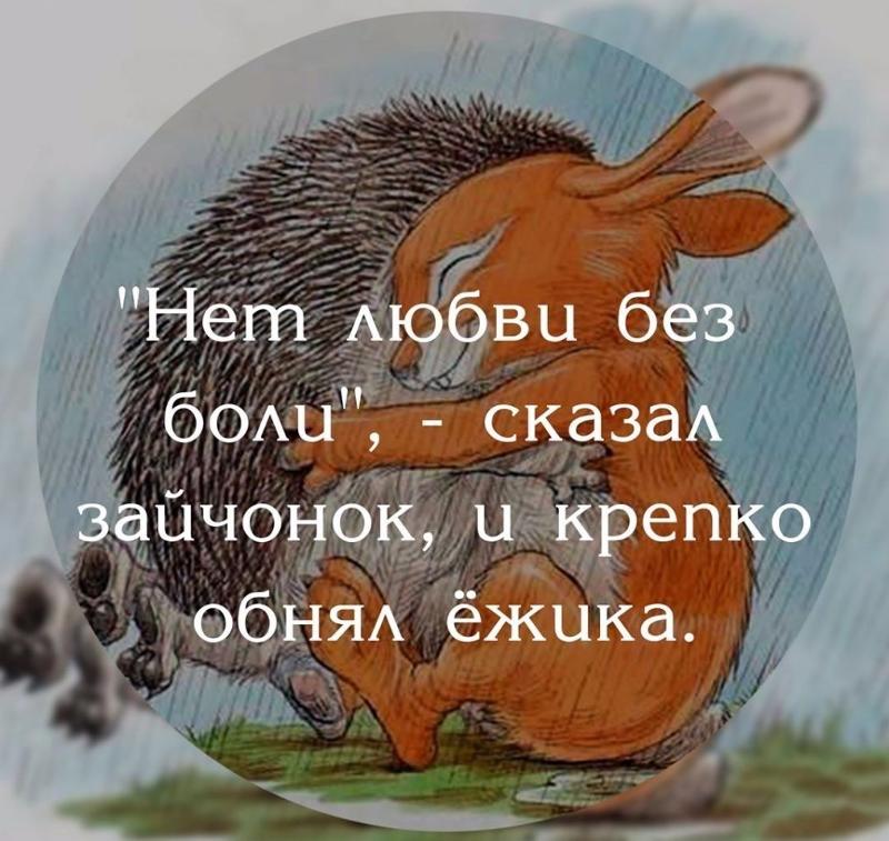 паху мужчин картинки обнять ежика что