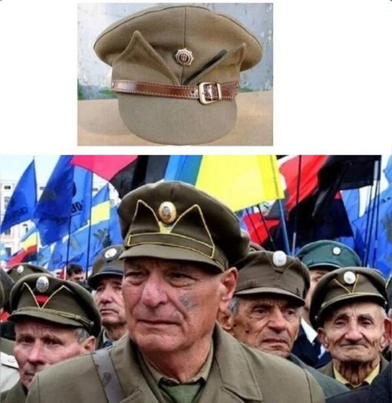 Головной убор бандеровцев. Свинособаки бандеровцы. Свинособака немцы назвали. Свинособаки бандеровские. Свинособаки кто это.