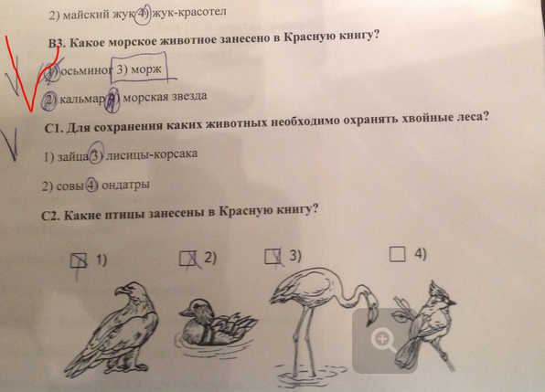 Для сохранения каких животных необходимо охранять. Для сохранения каких животных необходимо охранять
