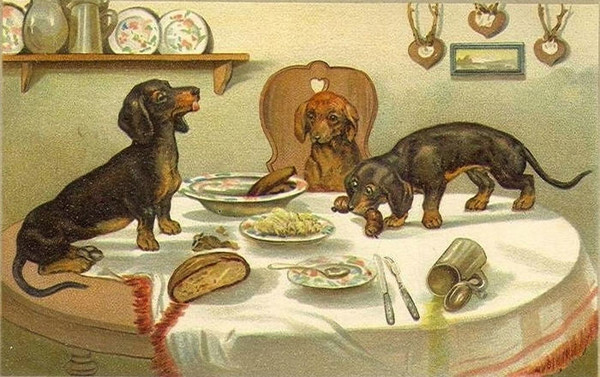 Открытки смешные с таксами