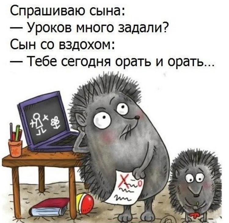 Прикольные картинки про родителей и уроки, александрины поздравить