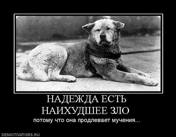 Преданность пример из жизни