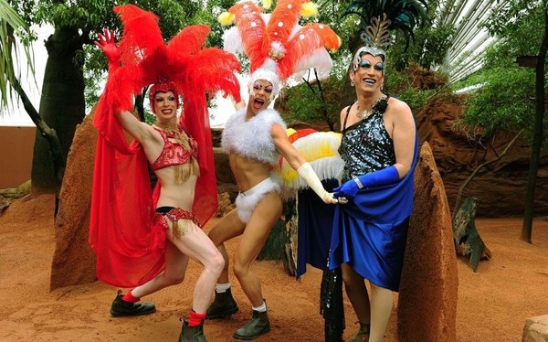 Funny transvestite pictures