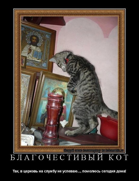 Ответы Mail.ru: Кто круче Неймар или патриарх Гундяев?