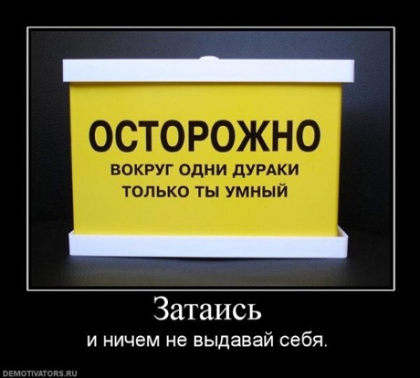 9b6bdf186f9795de570da644e9a6ba23_i-279.j