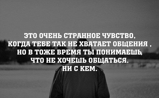 сайты, которые что делать если одиноко и нескем общаться предложениями купить породистых