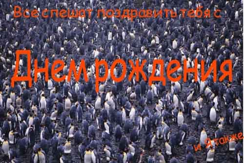 Анимационные gif открытки XIII Международный Фестиваль-Конкурс Детского и Юношеского