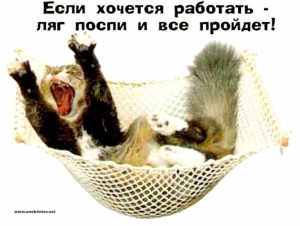 Открытки я хочу работать