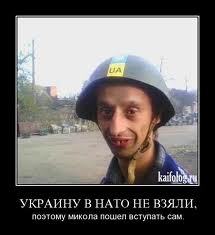 Поздравления с 23 Февраля, тому кто не служил Поздравления с 23 Февраля, тому кто не служил