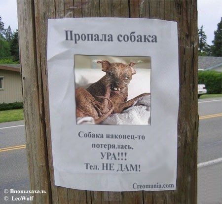 Пропала собака в картинках, поделки