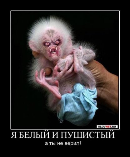 a0d23a1d37f10ede21173ff15bdd97a6_i-2467.