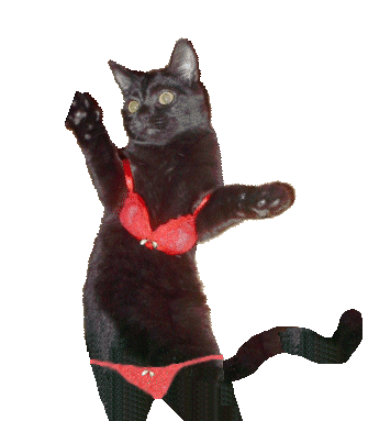 Танцующий кот гифка