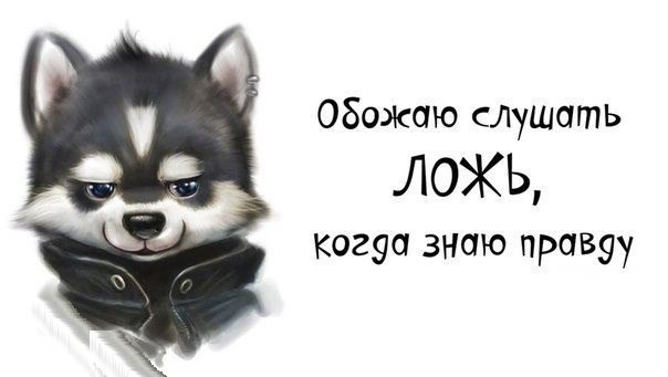Дочь Пескова поддержала политику Трампа: "Я с вами согласна, mister President" - Цензор.НЕТ 5262