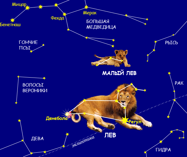 созвездие льва фото