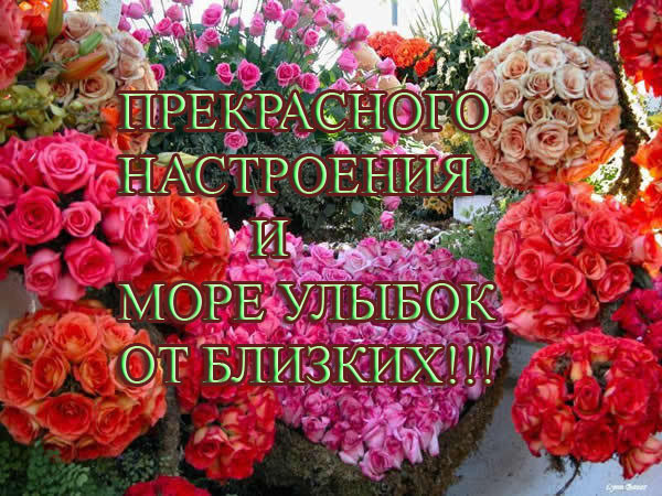 Открытка со словами спасибо и вам удачного дня, ночи подружки открытки