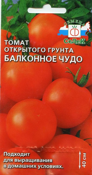 Ответы@mail.ru: как вырастить помидоры на балконе,какой лучш.