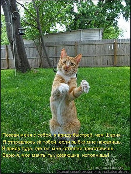 Ответы Mail.ru: Заблуждения заблуждениям рознь,не так ли?(взять того же Сусанина