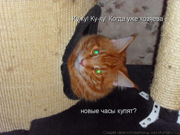 Картинки, группа ку ку прикольные картинки