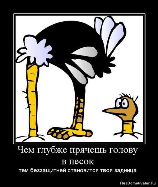 Путін завтра їде в Стамбул відкривати "Турецький потік" - Цензор.НЕТ 9822
