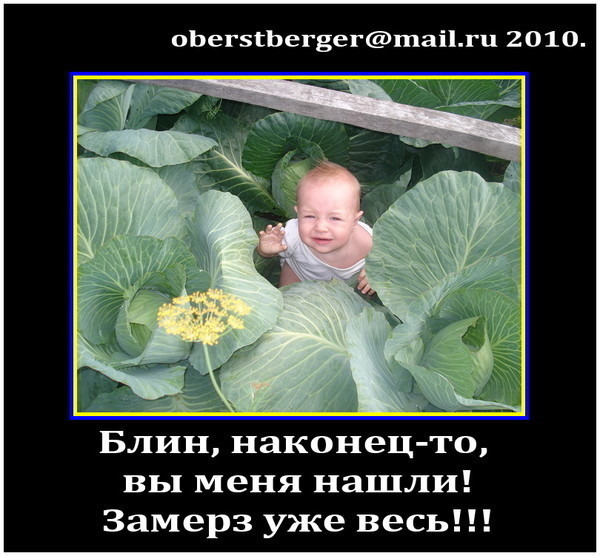 Правда что если есть капусту. Правда что если есть капусту