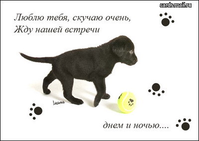 Поздравление днюхой, открытки жду встречи любимый