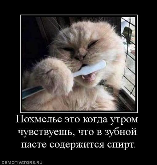 Курбан-байрам картинках, я с похмелья открытка