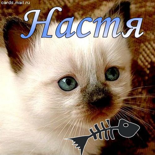 Картинки смешные, картинки с девушками и именами
