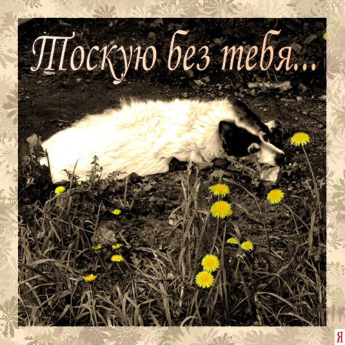 Открытки, открытка мне без тебя плохо подружка