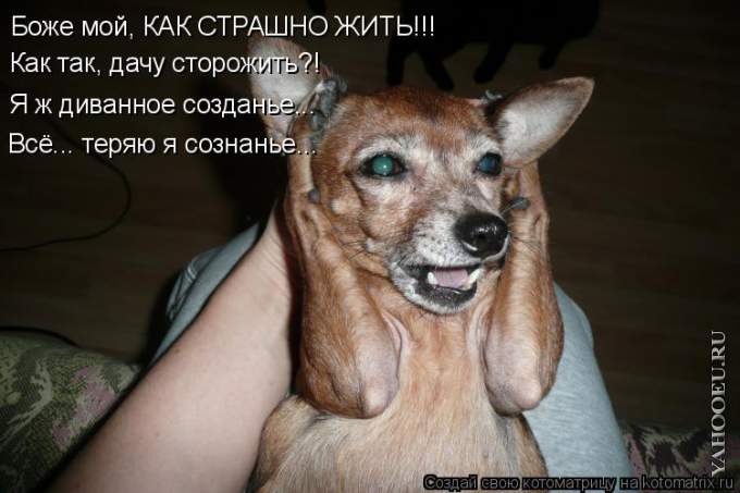 Марта, картинка с надписью ужас какой