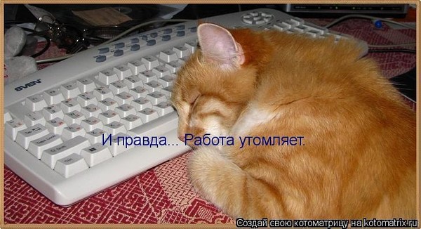 Картинки хорошей ночной смены прикольные, прикольного вопросительного знака